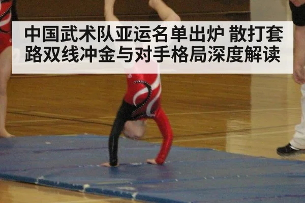 中国武术队亚运名单出炉 散打套路双线冲金与对手格局深度解读